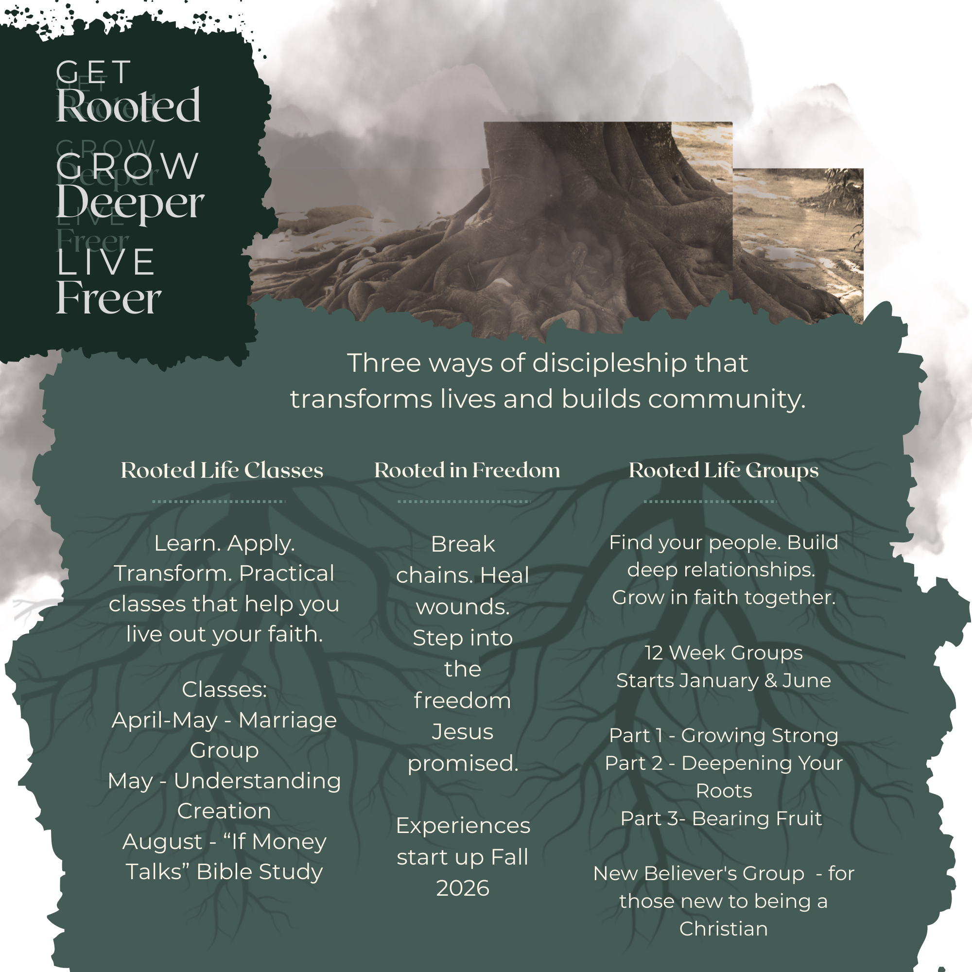 Rooted In Christ – Discipleship, Groups, Classes - Fernridge Faith Center